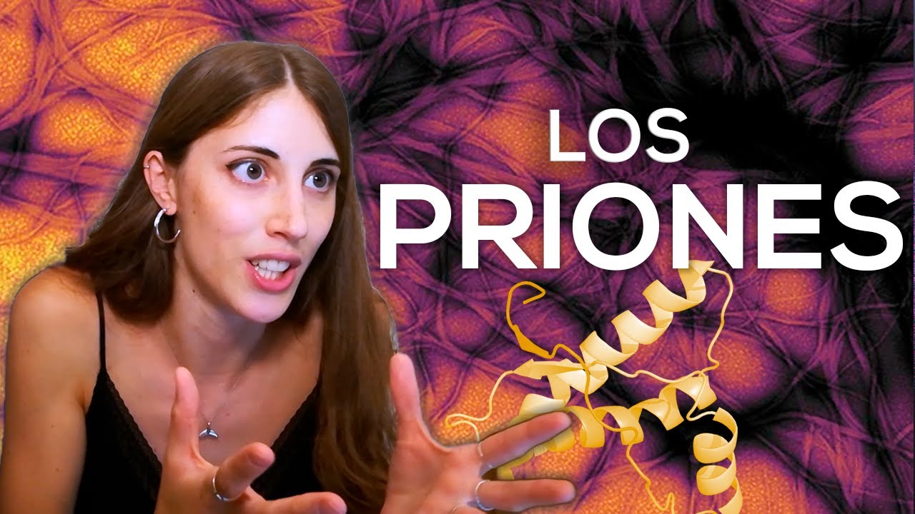 Estas PROTEÍNAS son LETALES: ¿Qué son los PRIONES?
