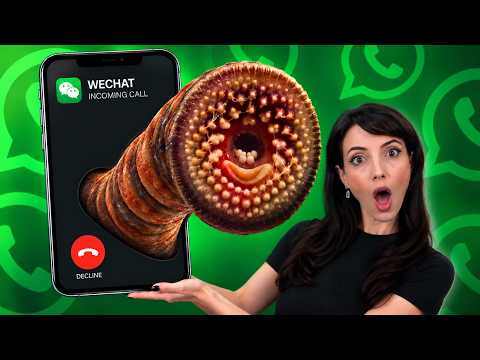 A Phone Call Can Now Spread a Zero-Click Worm | Threat Wire