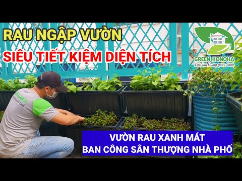 , title : 'Hướng dẫn làm vườn rau sạch ban công, sân thượng nhà phố siêu tiết kiệm diện tích !!'