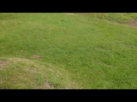 Ja kotona ollaan taas jumissa...