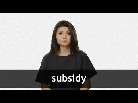 SUBSIDY definition and meaning | Collins English Dictionary