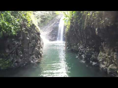 Lavena coastal walk - Taveuni Island