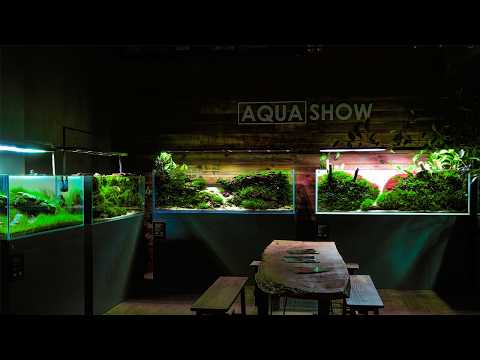 Michał Adamek o AquaShow od kuchni