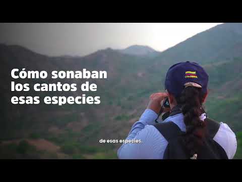 🌿🐦 Global Big Day en Liborina, Antioquia 🐦🌿