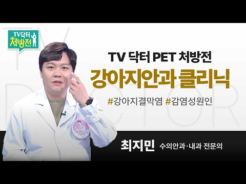 [TV닥터처방전] TV 닥터 PET 처방전 강아지 안과 클리닉