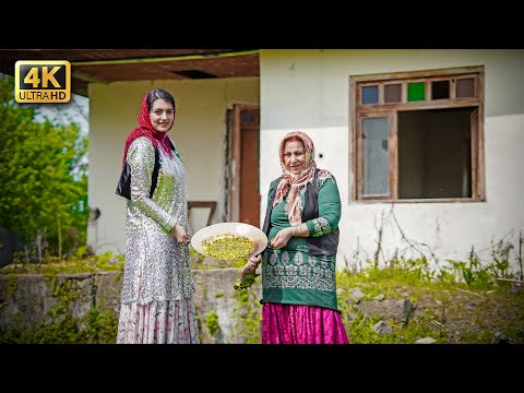 Traditional Iranian Stew with Fava Beans and Dill | Village Cooking in Gilan, Iran