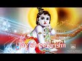 Shree Krishn Janmastmi Special Bhajan What S App Status