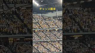 【阪神】チャンス襲来 #エスコンフィールド北海道 #ファイターズ #プロ野球 #阪神タイガース