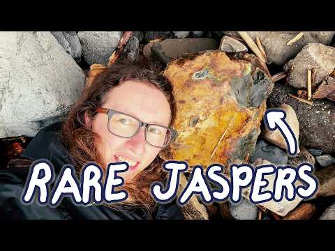 Our Secret Spot Revealed | Epic Rockhounding Adventure | Hunting/Cutting Rare Blue Picture Jaspers