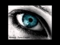 Netsky - Eyes Closed 