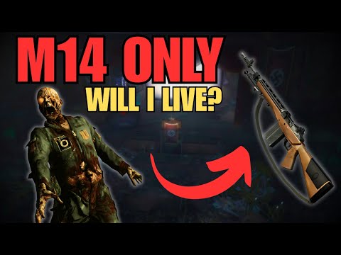 M14 Only, BO1 Zombies (Kino Der Toten)