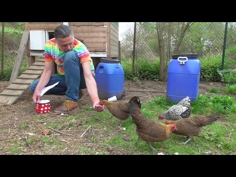 Zlate ceske kropenky