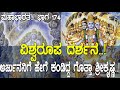 ವಿಶ್ವರೂಪ ದರ್ಶನ ಅರ್ಜುನನಿಗೆ ಹೇಗೆ ಕಂಡಿದ