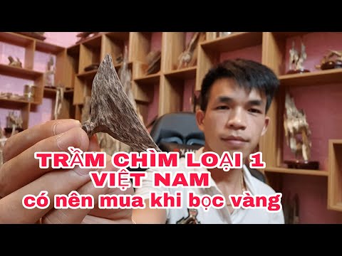 trầm chìm tự nhiên Việt Nam có nên mua khi bọc vàng, lời cảnh tỉnh | khanh trầm hương
