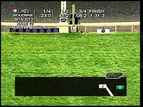 Wise Dan wins the 2013 Ricoh Woodbine Mile