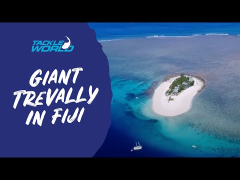 EPIC Giant Trevally on Holiday In Fiji
