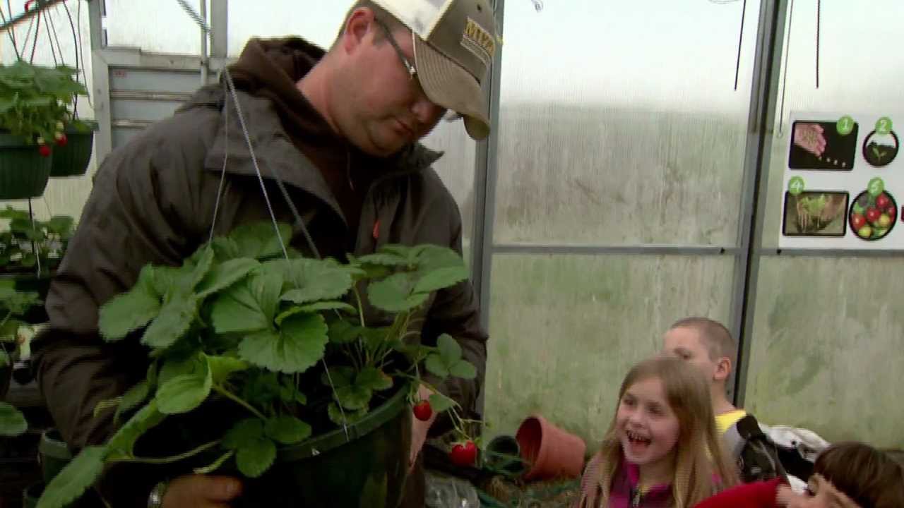 Open Video News Story: Food from the Farm