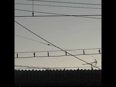 still.h0me - 若理解使你振作 w/ LilCodyIsDead!