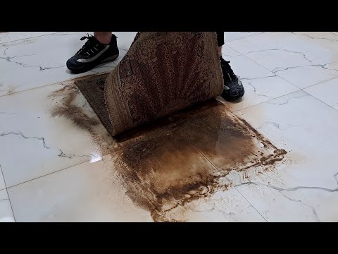 The dirtiest carpet cleaning / satisfying carpet cleaning ASMR