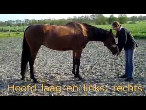 Banita 02-05-2012.mp4