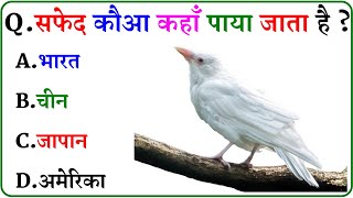 GK Question || GK In Hindi || GK Question and Answer || GK Quiz ||