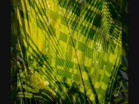 Mosaik - Among Plants