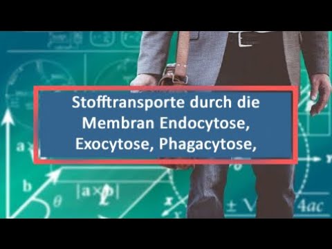 Stofftransporte durch die Membran Endocytose, Exocytose, Phagacytose, Pinocytose