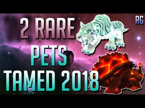 Taming 2 Rare Pets Same Day - Terrorpene & Ankha | World of Warcraft