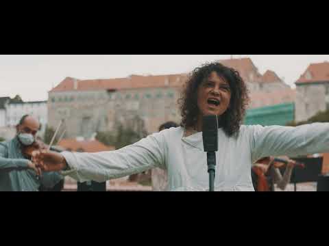 Náhled pro video reference