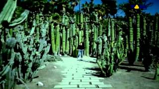 KAI TRACID - TRANCE & ACID