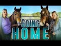 Going Home - Horse Shelter Heroes S4E8