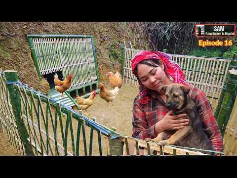 Episode 16 | Turning My Abandoned Backyard into an Underground Chicken Coop