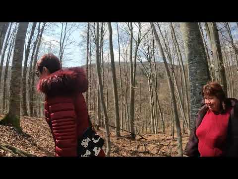 Mânăstirea Crasna, traseul cu piciorul!