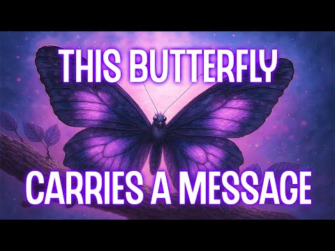 Qué significa cuando una mariposa negra te visita (no es un mal presagio)