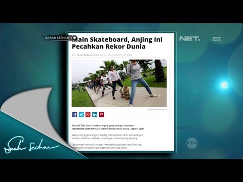 World Record-Breaking Dog