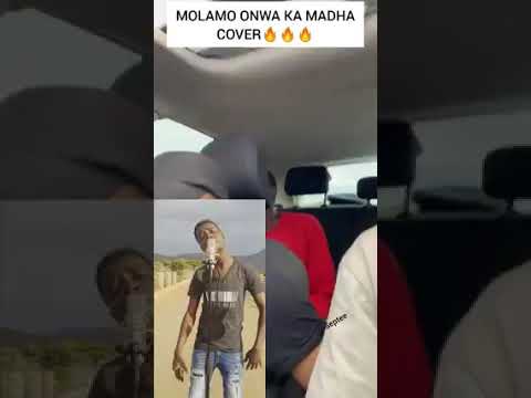 septee -King Monada Molamo Cover