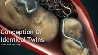 The Miracle of Twin Fertilizations: A Shared Beginning