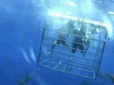 Knowa Lazarus - Sumthin Different