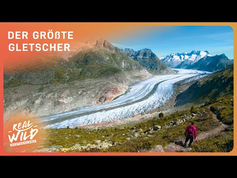 Der größte Gletscher der Alpen: Aletschgletscher Doku