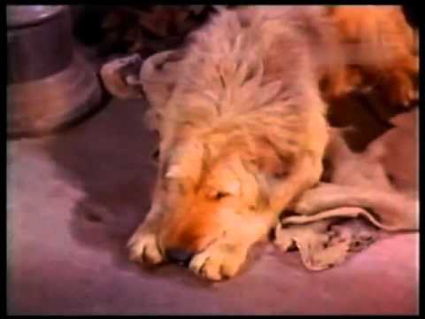 Bonanza 4x26 Cap 126 Cualquier amigo de Walter