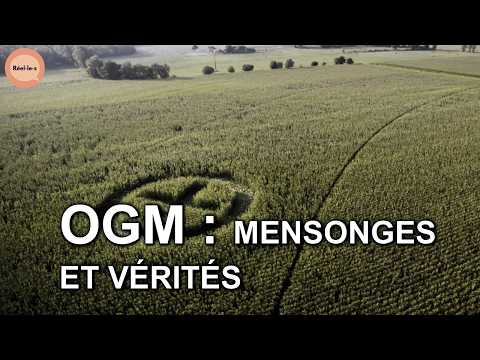 OGM, mensonges et vérités - PARTIE 1 | Réel·le·s