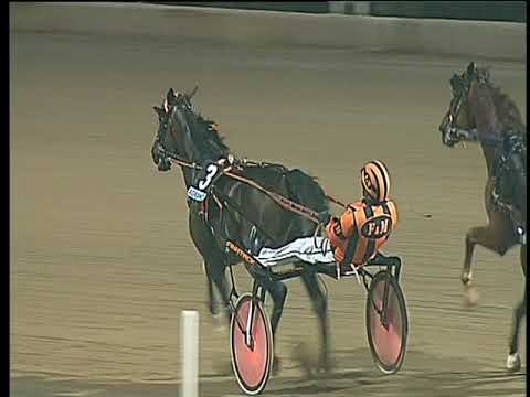 Trotto 19/08/2017 - 4ª corsa