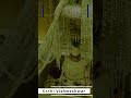 Whatsapp Status Of Vishwashar Kashi Vishwanath