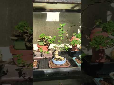 ngày 9 tháng 12, 2023