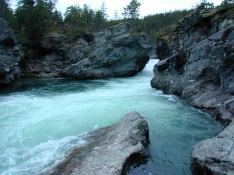 Wolfenmond - Ridderspranget