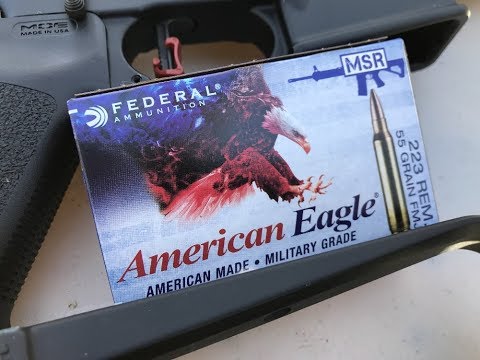 WEAKEST .223 FOR DEER!! 223 Remington Federal Fusion 62gr Ammo Test