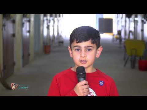 Nixtieq Insir....Pulizija