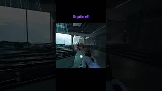 Rapid squirrel vs buddy shield - who needs Dozer? #gaming #battlefield #gamenight #battlefield2042