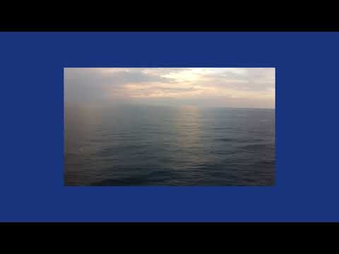 King OM - OM Therapy (Summer Edition)