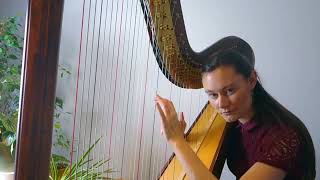 Fields of Fortune (Secret Garden) on Pedal Harp